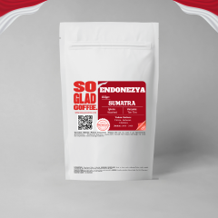 ENDONEZYA - SUMATRA