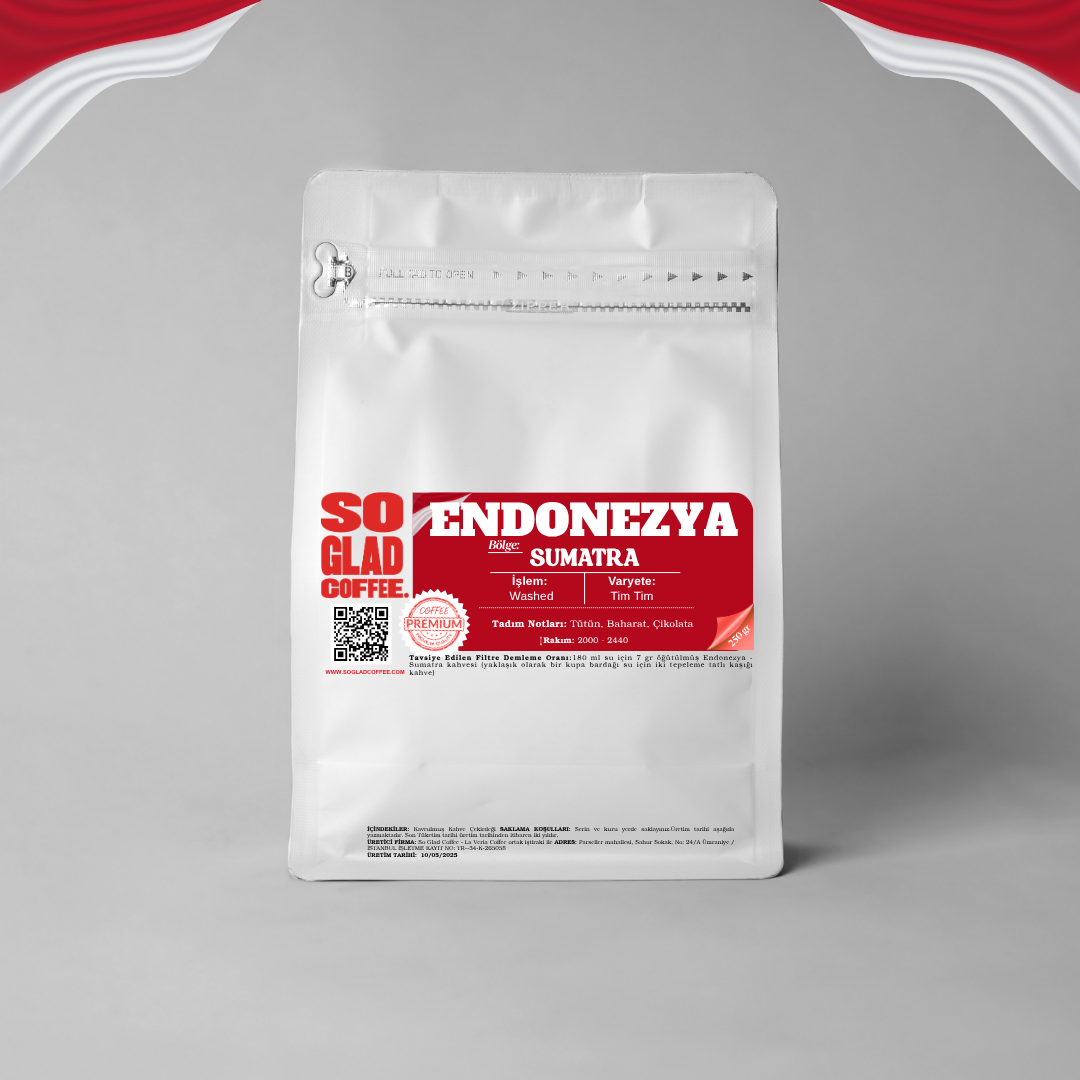 ENDONEZYA - SUMATRA