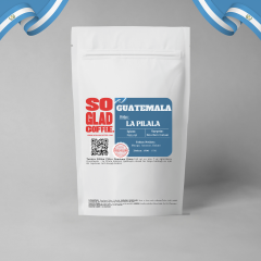 GUENTEMALA- LA PILALA
