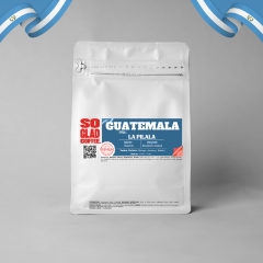 GUENTEMALA- LA PILALA